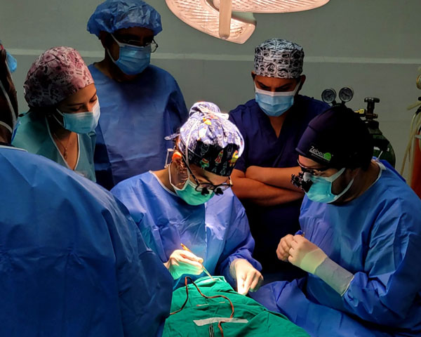 Oculoplastic Surgery Training - join now seats are limited - caotacademy - egypt]