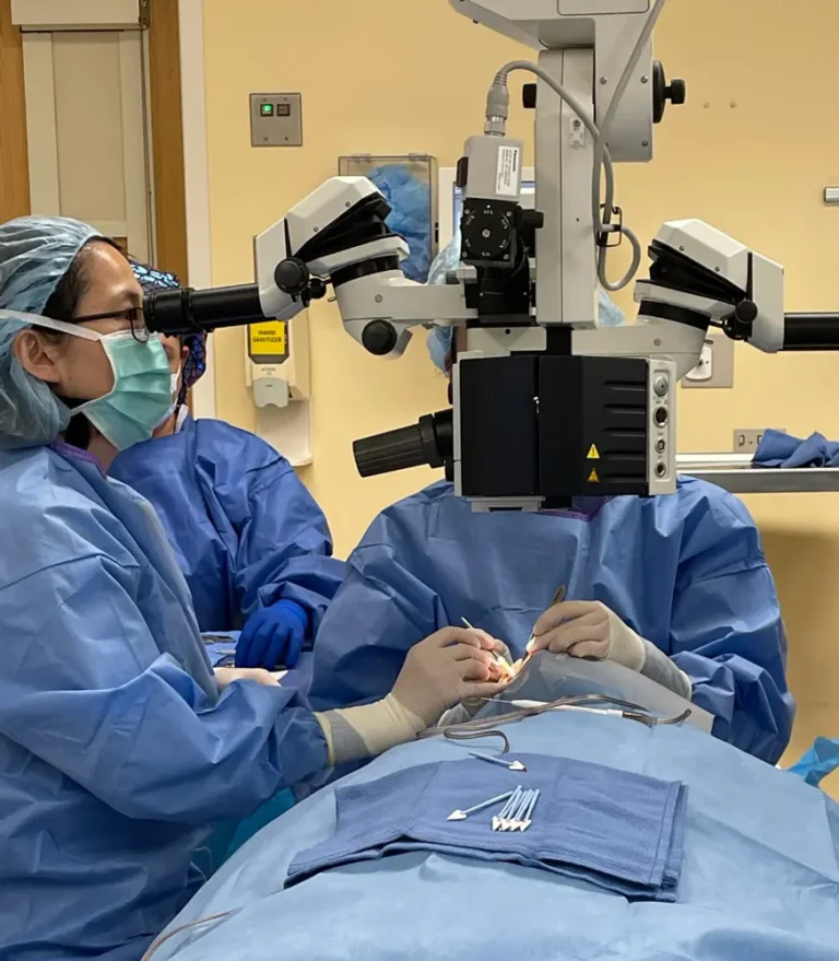 Take the Next Step in Your Surgical Career - glaucoma surgery training - caotacademy - egypt
